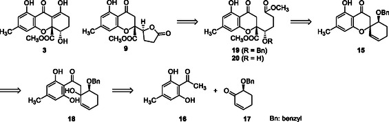 SCHEME 2