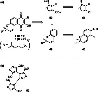 SCHEME 6