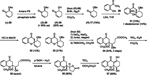 SCHEME 4