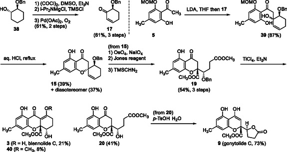 SCHEME 5
