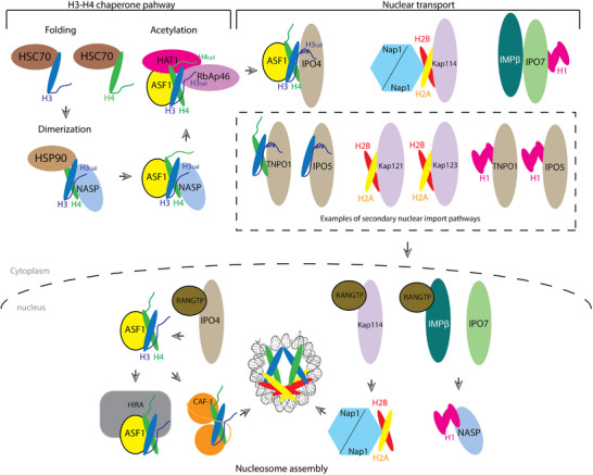 FIGURE 2