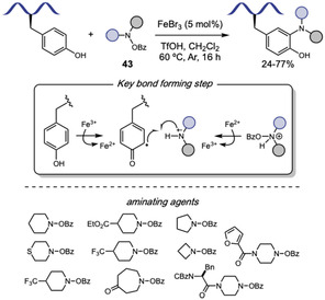 SCHEME 40
