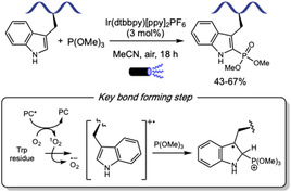 SCHEME 49