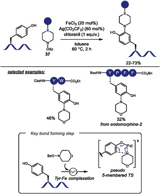 SCHEME 39