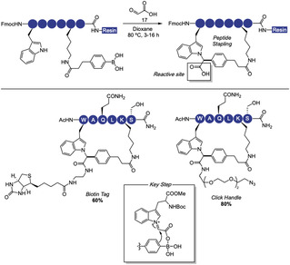 SCHEME 12