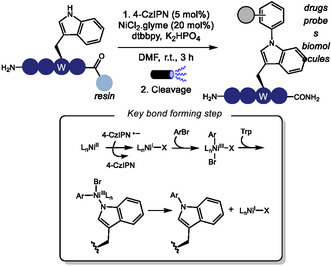 SCHEME 43