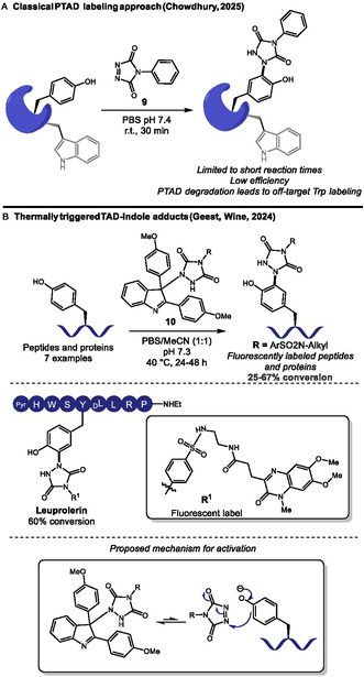 SCHEME 5