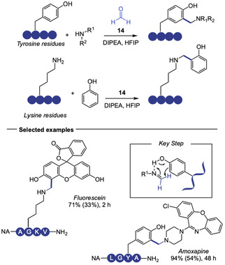 SCHEME 10