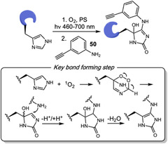 SCHEME 46