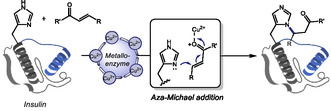 SCHEME 23
