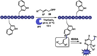 SCHEME 22