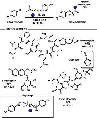 SCHEME 20