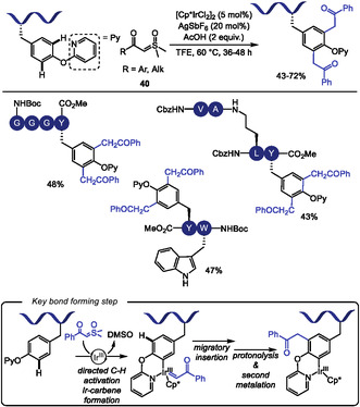 SCHEME 35