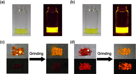 FIGURE 15
