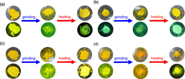 FIGURE 22