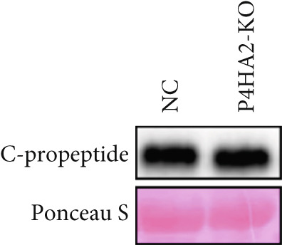 Figure 18
