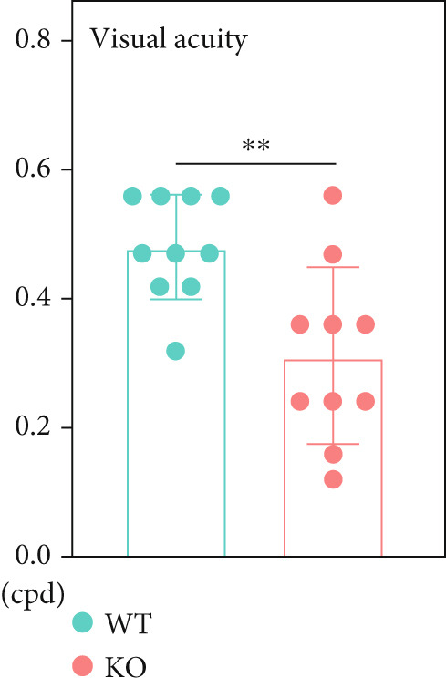Figure 19