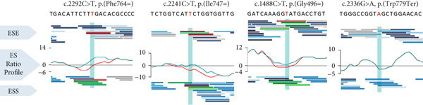 Figure 5