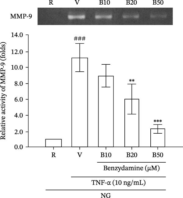 Figure 9