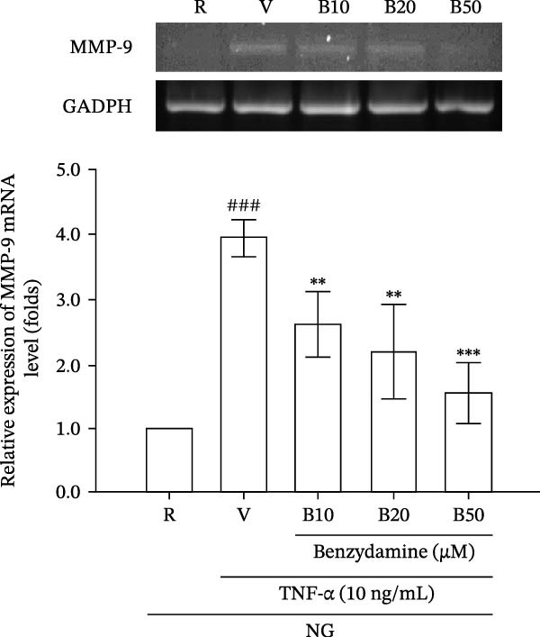 Figure 11