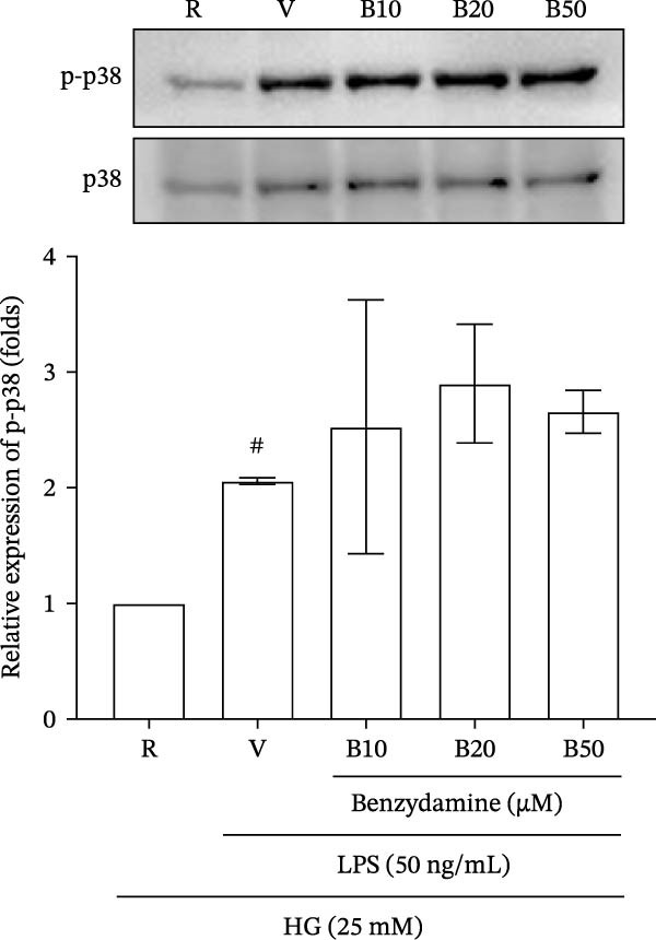 Figure 12