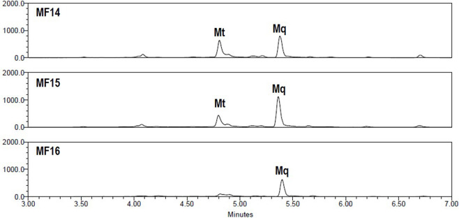 FIGURE 6