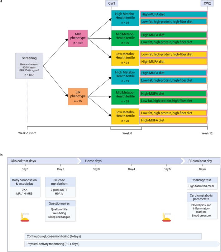 FIGURE 1