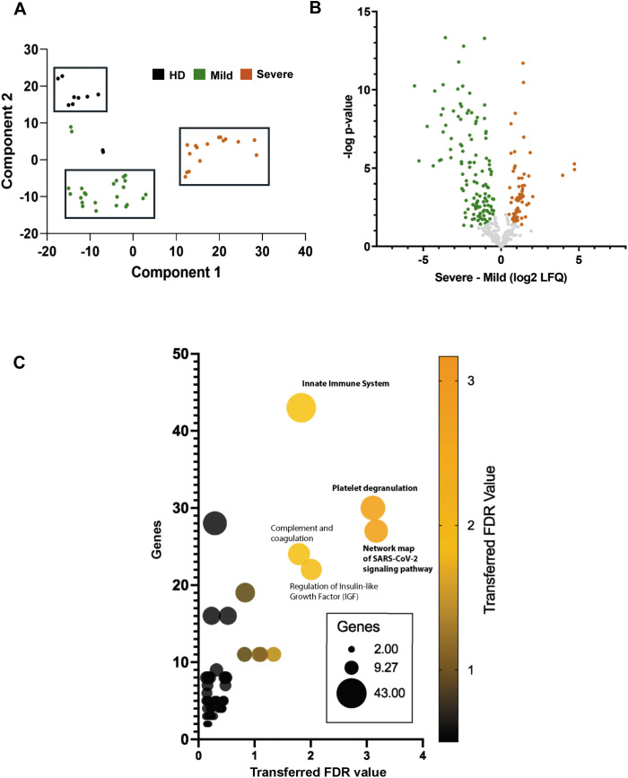 Figure 3