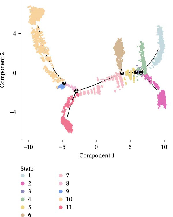 Figure 20