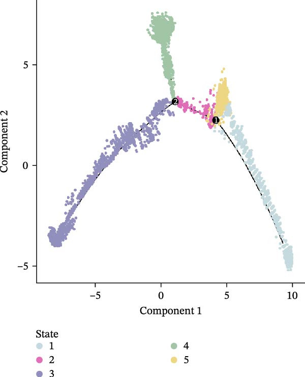 Figure 21