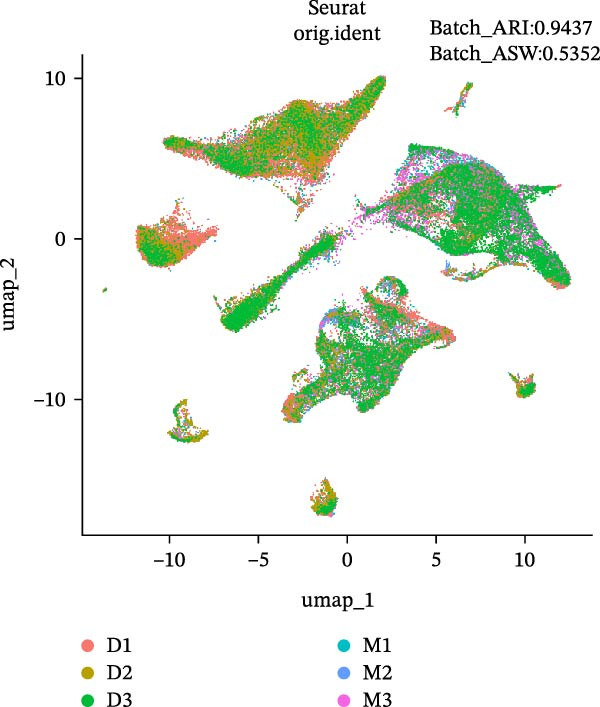 Figure 31