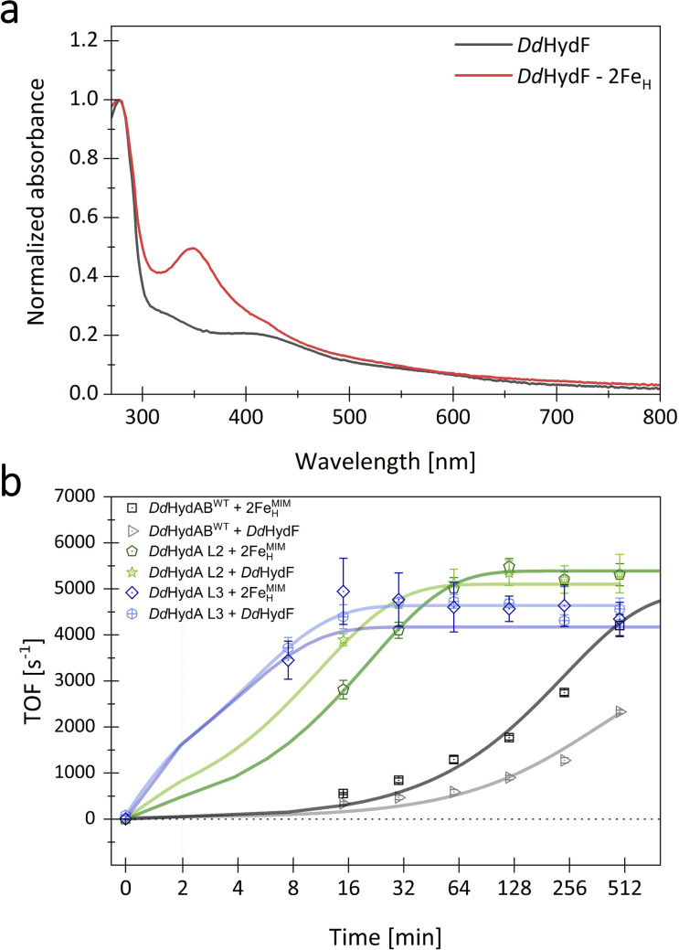 Fig. 7