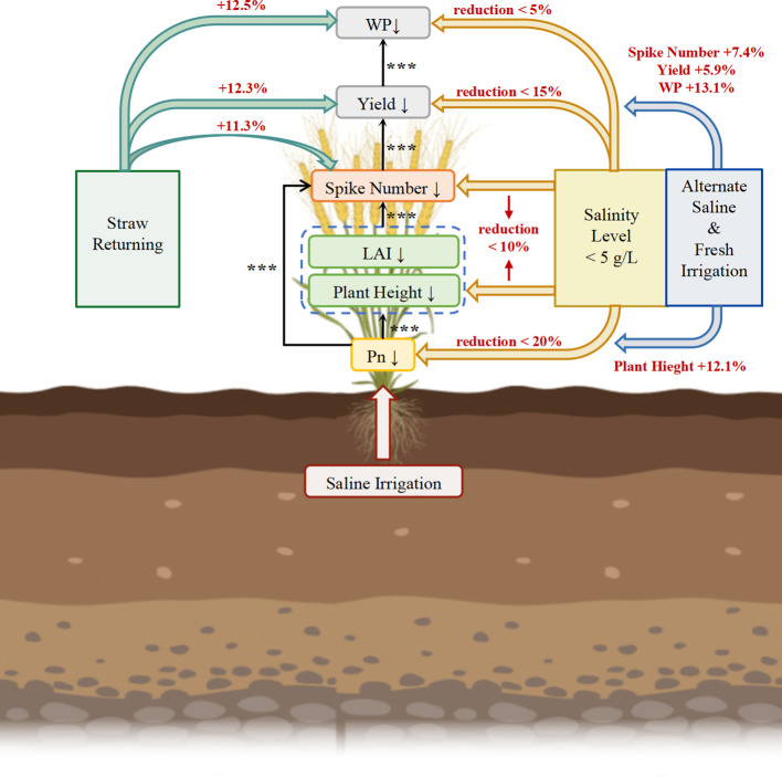 Figure 6