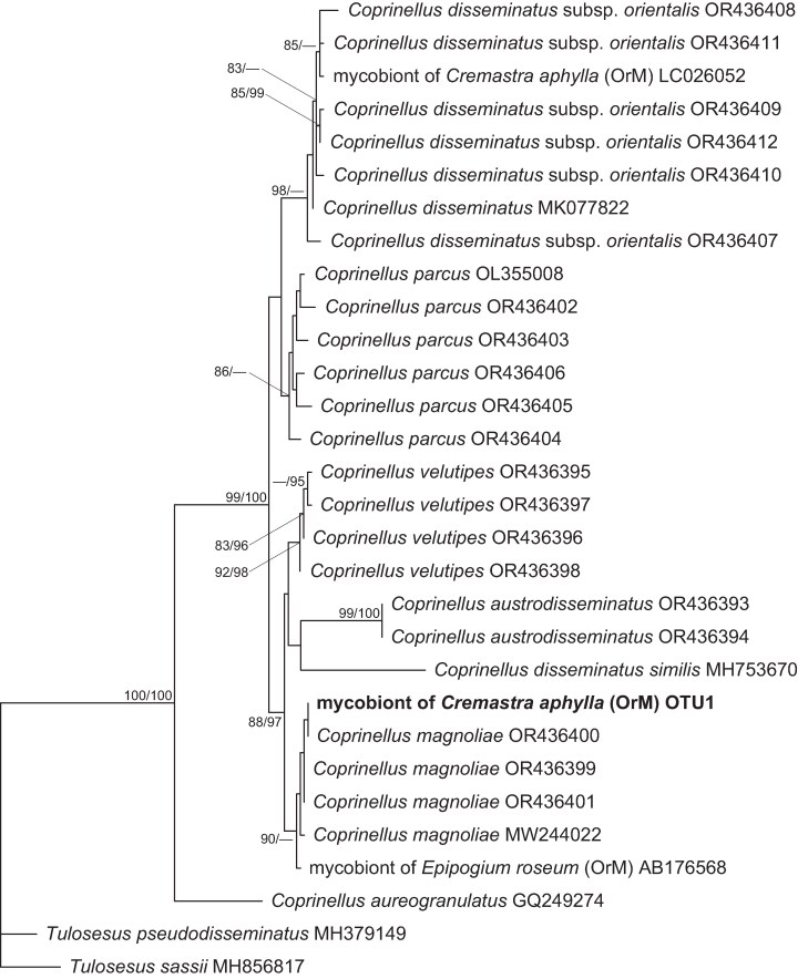 Fig. 6
