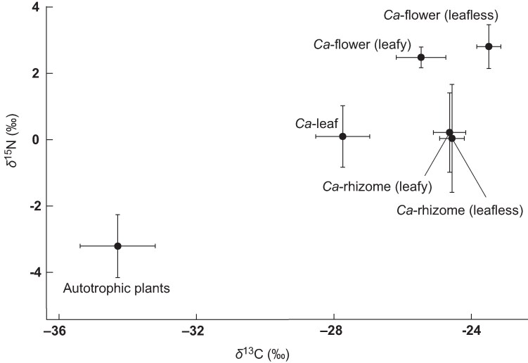 Fig. 7