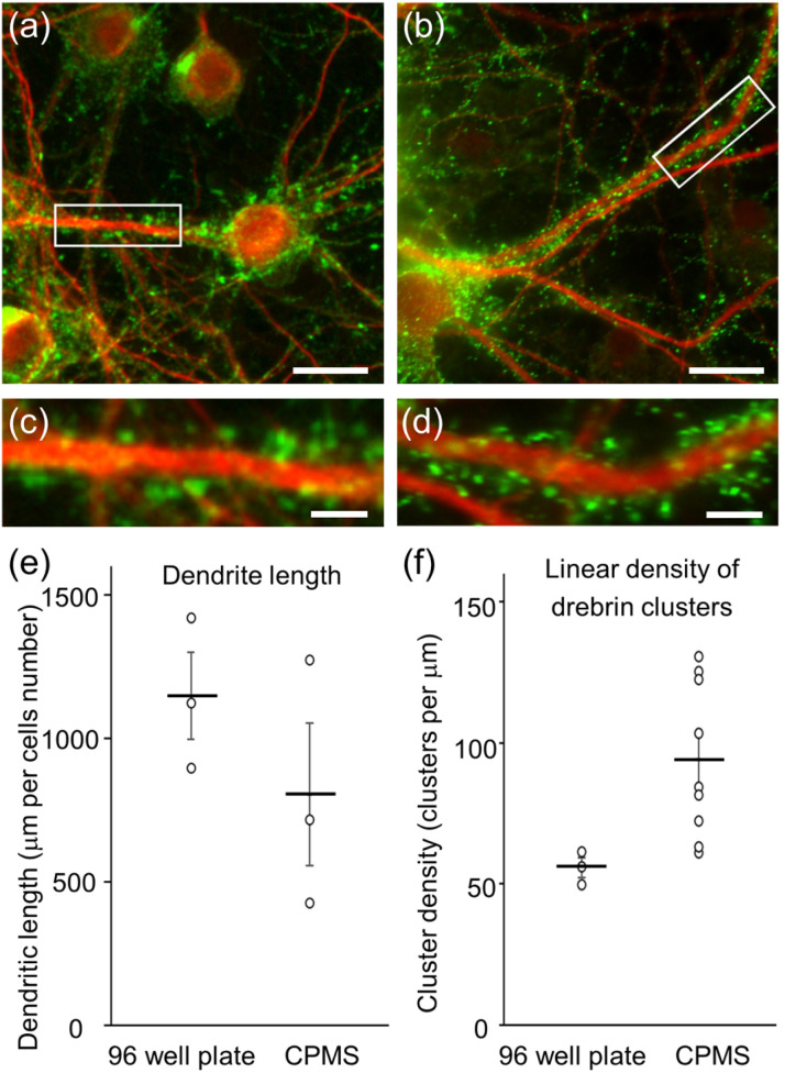 Fig. 10