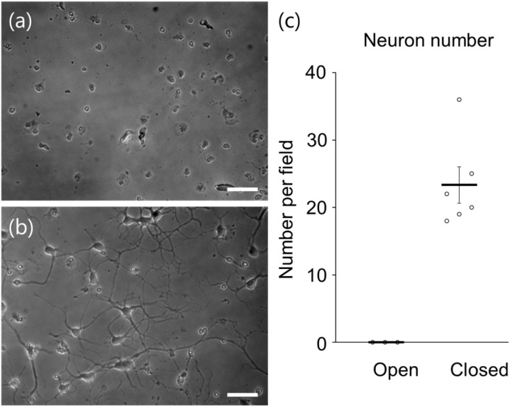 Fig. 11