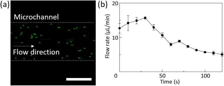 Fig. 7