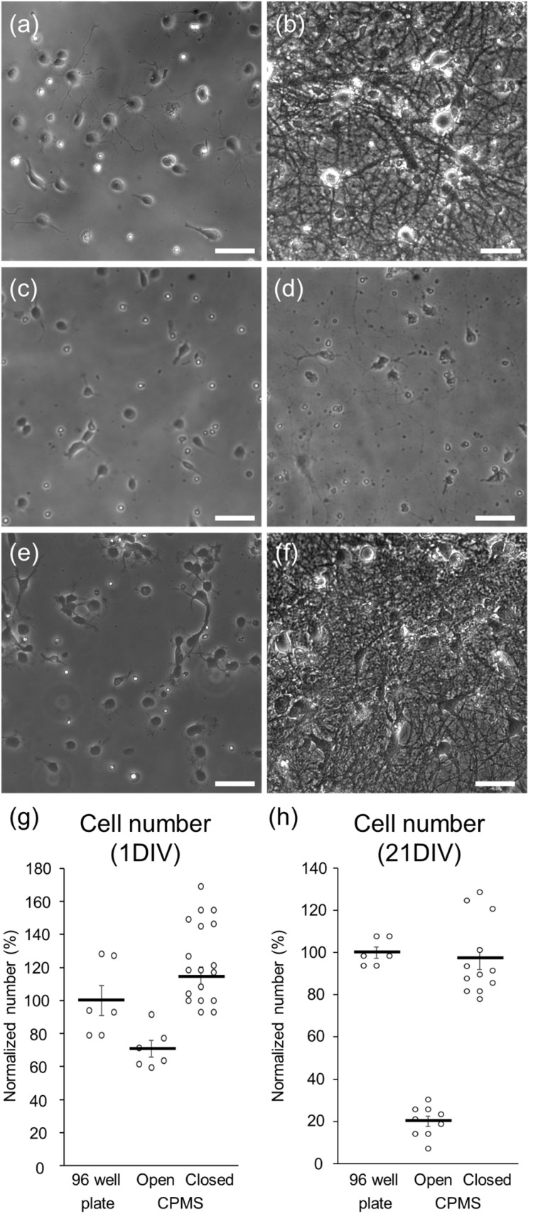 Fig. 9