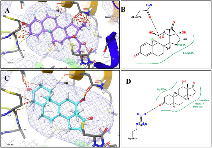 Figure 6