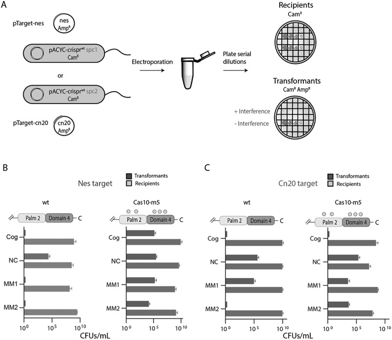 Figure 6