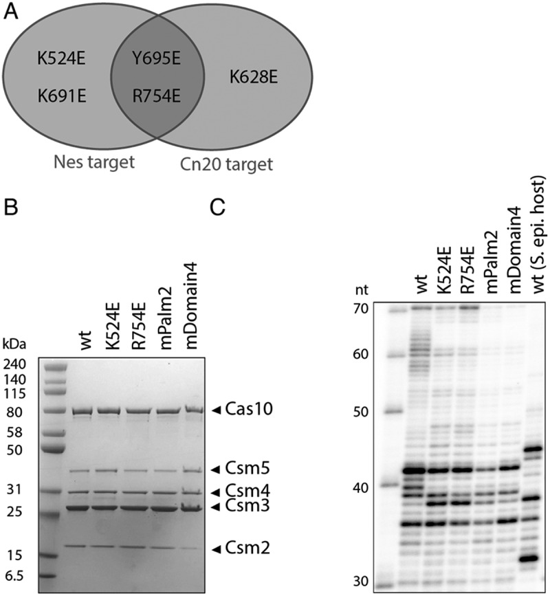 Figure 14