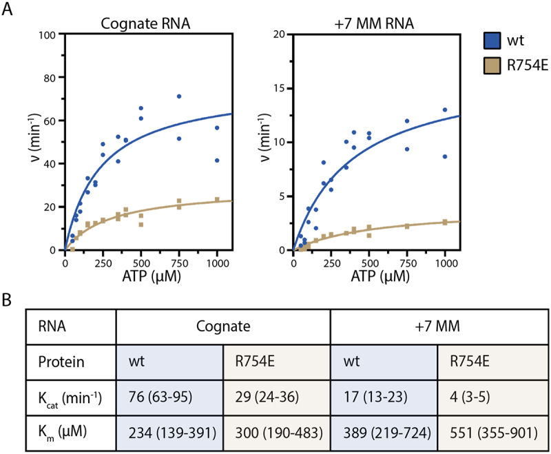 Figure 19