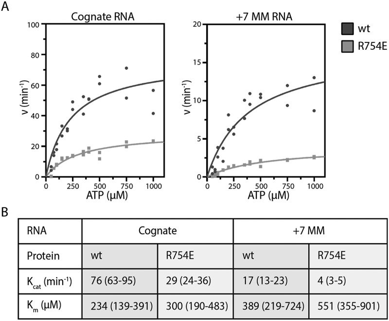 Figure 20