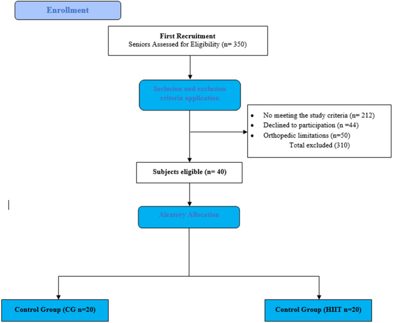Figure 1