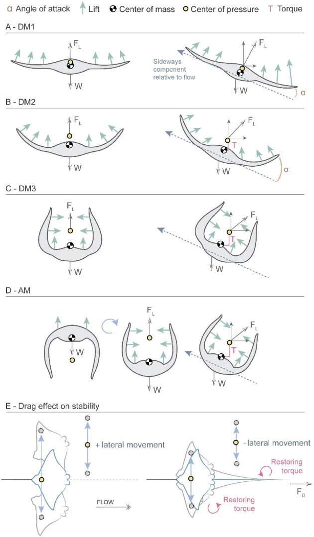 Fig. 9