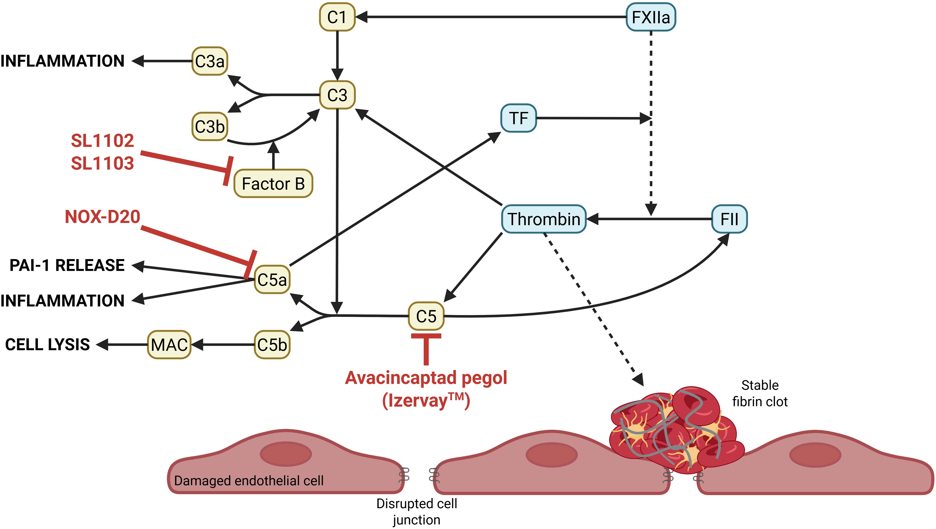 Figure 6