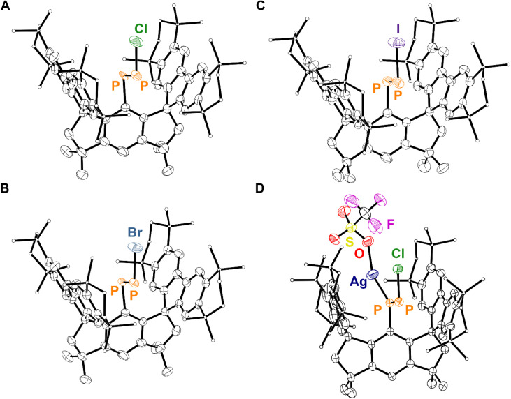 Fig. 4