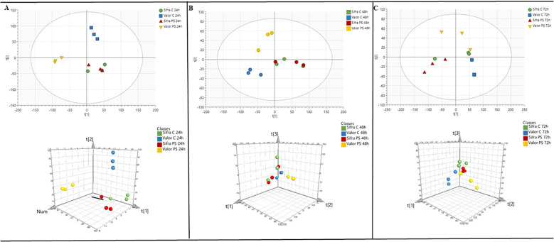 Figure 3