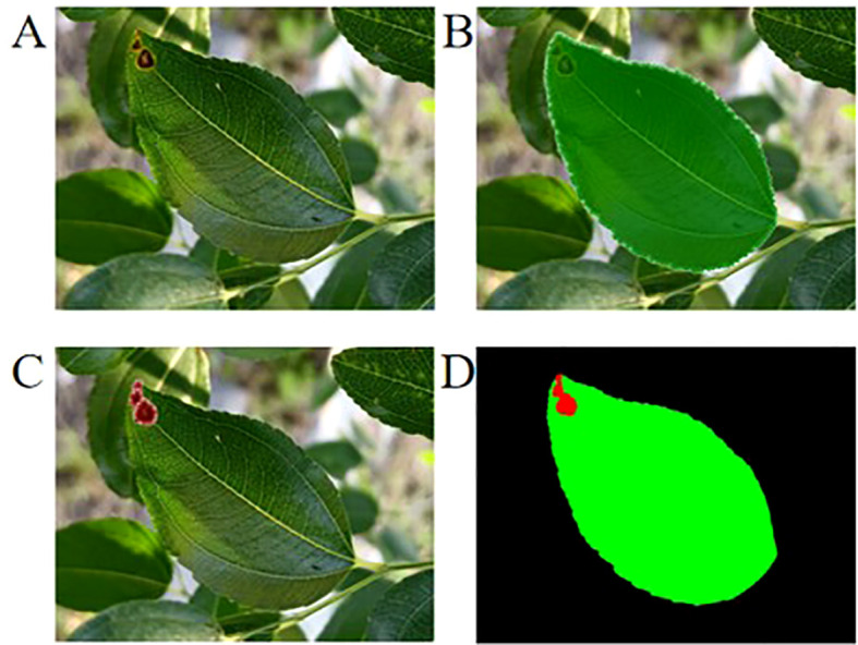 Figure 2